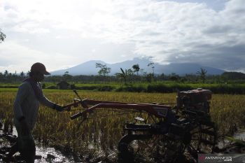 Status Gunung Raung