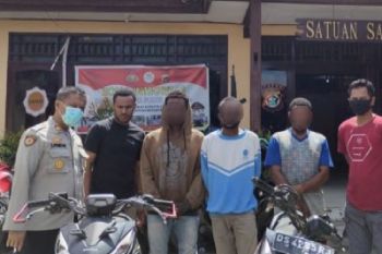Polisi Jayapura amankan pengedar ganja dan curanmor