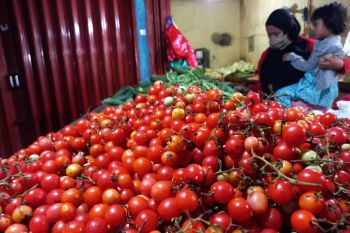 Harga sayuran ini di Pasar Jatimulyo stabil