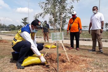 Kepala BPJT: Rest Area 87 A jadi contoh penghijauan