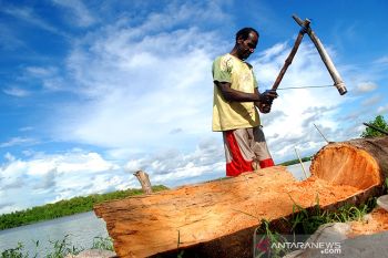 Indonesia targets food self-sufficiency in Papua within three years
