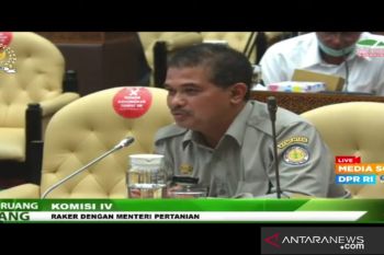 Beras impor rembes, Kementan sebut 2 perusahaan  diproses Bareskrim