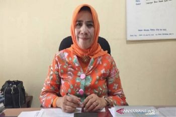 Sekitar 60 persen kebutuhan pakan ternak di Kendari dipasok dari Sulsel