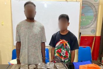 Polisi Jayapura tangkap empat pengedar ganja