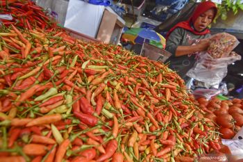 Disperindag minta petani di NTB ikut cermati stok cabai daerah