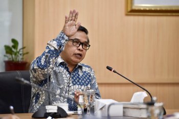 Wamen LHK: Perlu pemulihan lingkungan pascabanjir Kalsel