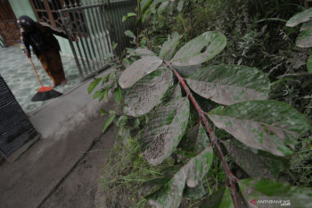 Hujan abu Merapi guyur sejumlah desa di Kabupaten Magelang