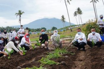 Bupati Lampung Selatan tanam 150 jenis Toga untuk pengembangan kebun edukasi