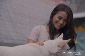 "June &amp; Kopi", kisah hangat  persahabatan manusia dan anjing