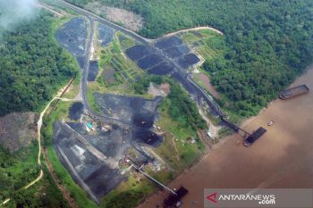 Wah, Riau hanya targetkan Rp10 miliar PNBP dari batubara