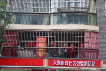WHO lacak gua kelelawar di China untuk cari asal-usul COVID-19