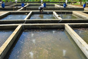 Expanding utilization of waqf assets