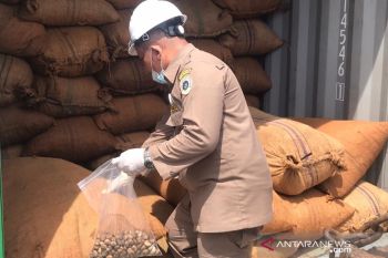 Menumbuhkan semangat ekspor pertanian Sulawesi Tenggara