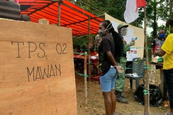 Belajar dari Pilkada Serentak di tanah Papua