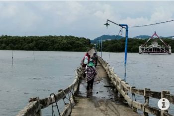 CeDPPIS dukung Pemkot Bandarlampung percepat rehab jembatan Pulau Pasaran