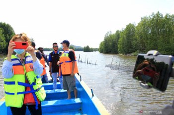 Pemuda di Kabupaten Aceh Jaya kembangkan ekowisata mangrove 300 hektare