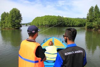 Ekowisata manggrove Aceh Jaya