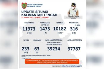 Kumulatif positif COVID-19 Kalteng hampir capai 12 ribu kasus
