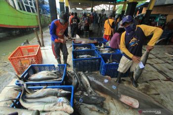 Pakar: Target PNBP perikanan harus dikomunikasikan dengan baik