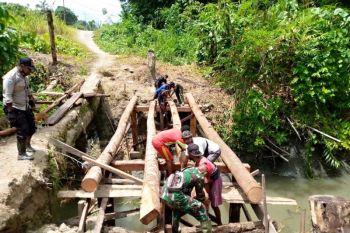 Babinsa Koramil Yaptim-Bhabinkamtibmas gotong royong perbaiki jembata kayu