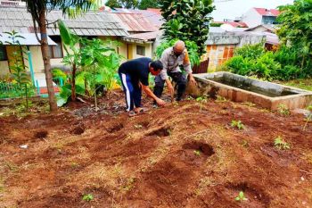 Polsek Jayapura Utara beri bantuan bibit sayur ketahanan pangan