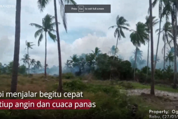 Info terkini: Tiga hektare lahan di Bintan terbakar