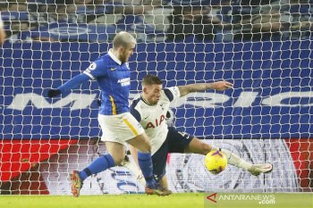 Tottenham tumbang di kandang Brighton