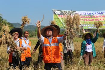 Program CSR PTBA "Desa Pagar Dewa" juarai BUMN Corcomm Sustainability Summit