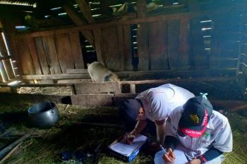 Jumlah orang beringus di Jayawijaya berkurang