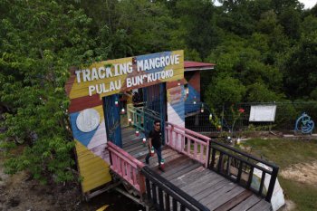 TRACKING MANGROVE SEPI PENGUNJUNG