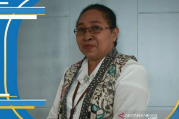 BPS:Nilai tukar petani Papua naik 0,48 persen