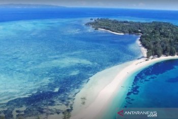 Bupati Kepulauan Selayar akui tak tahu jual beli Pulau Lantigiang