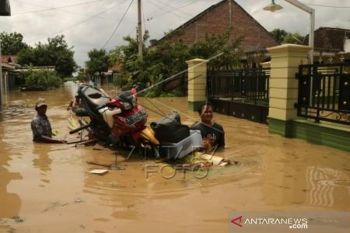 Banjir Merendam Jombang
