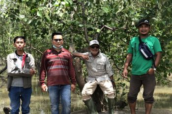 Puncak HPN, PWI dan Polres Inhil tanam mangrove di Pantai Terumbu Mabloe