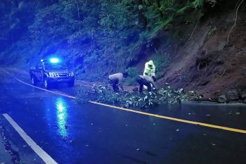 Pusuk kembali longsor, Kapolsek Sembalun dan anggotanya nyaris tertimbun