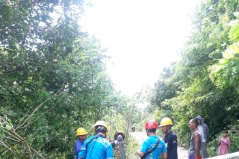 PLN NTB berjuang perbaiki kerusakan infrastruktur akibat cuaca ekstrem