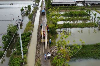Cuaca ekstrem, petugas PLN tetap kerja pulihkan pasokan listrik dari gangguan