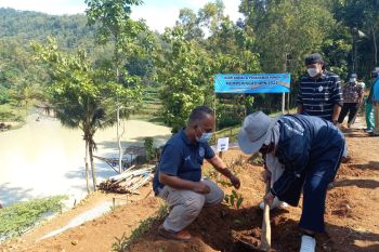 Paguyuban Wartawan Kulon Progo menanam pohon di Embung Blubuk