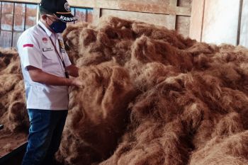 Barantan Manado fasilitasi ekspor 75 ton sabut kelapa ke Korea Selatan