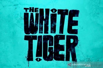 No cinema, no problem: Films to watch from home in 2021