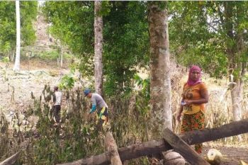 Petani Buol  harap Pemkab bantu hidupkan lahan tidur