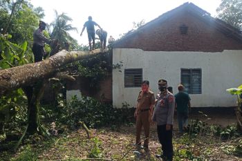 Dua desa di Pasir Sakti Lampung Timur diterjang angin kencang