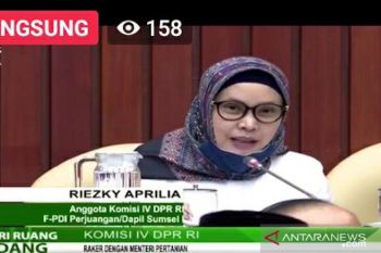 Anggota DPR Riezky Aprilia soroti kinerja Kementan dinilai belum optimal
