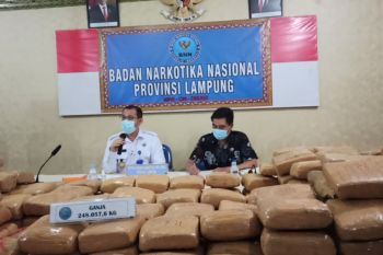 BNN Lampung gagalkan pengiriman 248,057 kilogram ganja