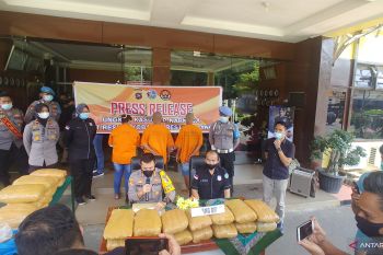 Pemilik ganja yang diciduk personel lantas diduga pengedar antar provinsi (Video)