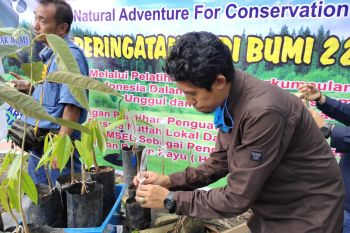 JBI dorong masyarakat tanam  pohon produktif