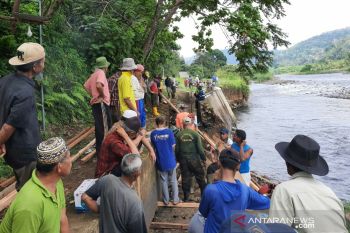 165 hektare sawah di Sangir Jujuan terancam gagal panen