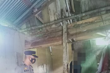 Ditemukan mayat  tergantung dalam kondisi membusuk di Lubuk Selasih