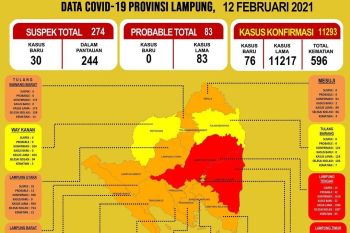 Jumlah kasus COVID-19 di Lampung bertambah jadi 11.293 orang