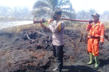 Kebakaran lahan sawit di Agam meluas akibat cuaca panas (Video)